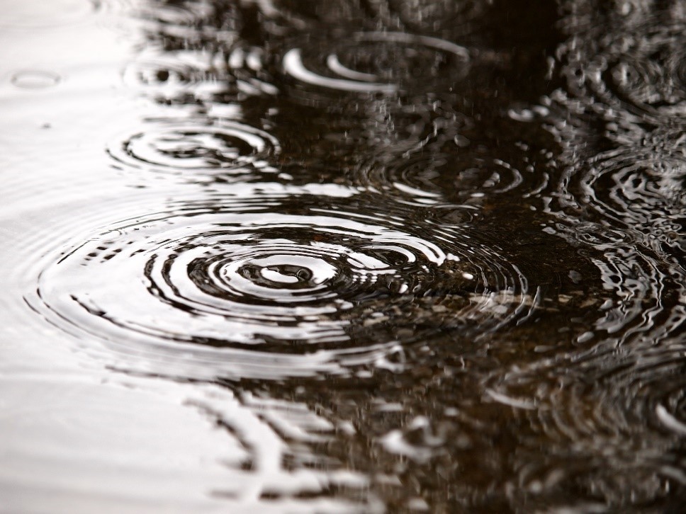 あと1年の命、雨が降ったような気持ちでした